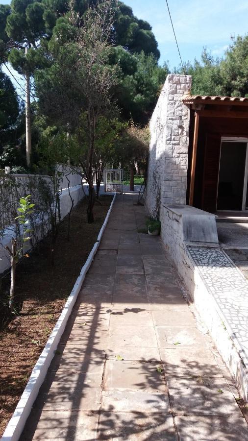 Beach Cottage Elena Néa Mákri المظهر الخارجي الصورة