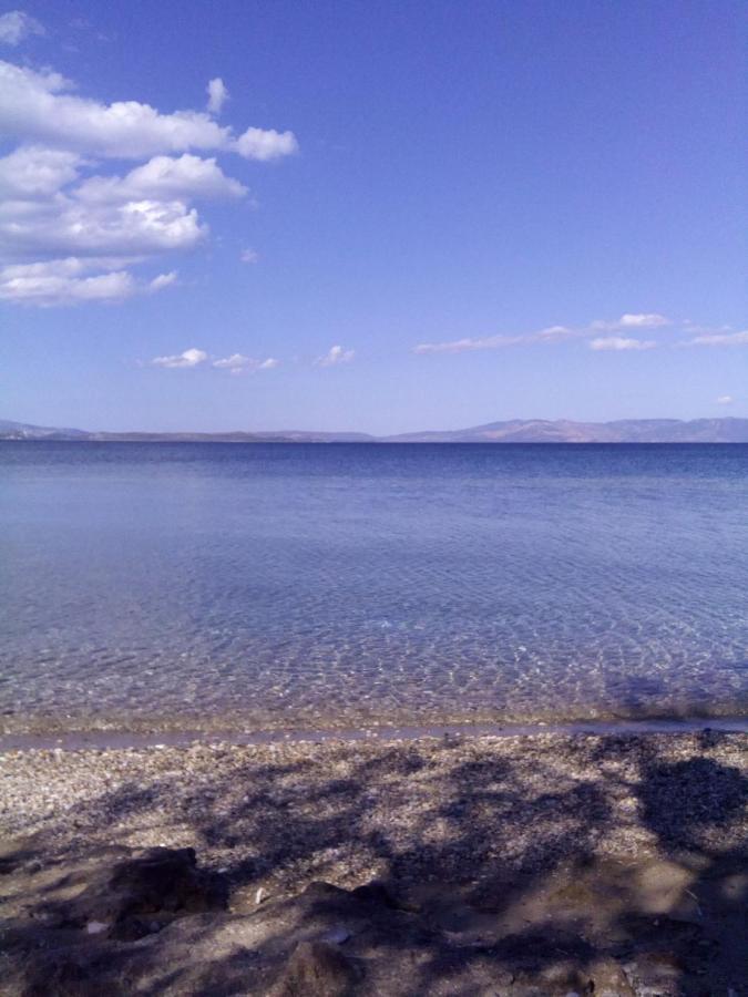 Beach Cottage Elena Néa Mákri المظهر الخارجي الصورة