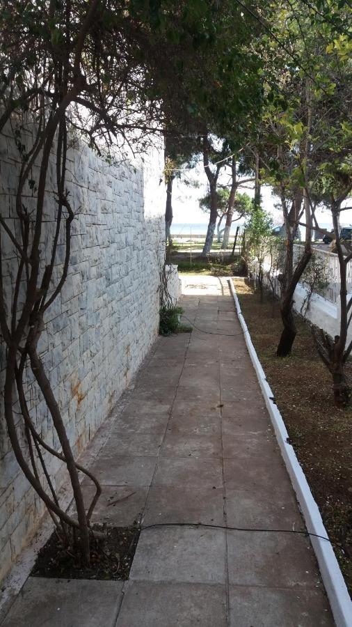 Beach Cottage Elena Néa Mákri المظهر الخارجي الصورة